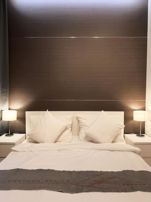 Chateau Etoile Loft - Prg Centre Apartment Prague